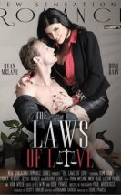 The Laws of Love izle