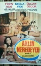 Aklın Neredeydi – Figen Han erotik film izle