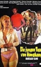 Die jungen Tiger von Hongkong izle