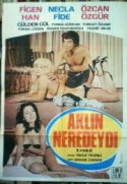 Aklın Neredeydi – Figen Han erotik film izle