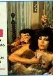 Koca Aranıyor (Zerrin Egeliler)  erotik izle