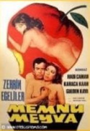 Memnu Meyva 1962 izle