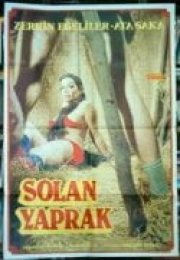 Solan Yaprak Zerrin Egeliler izle