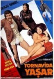 Tornavida Yaşar erotik film izle