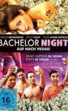 Bachelor Night 2014 izle