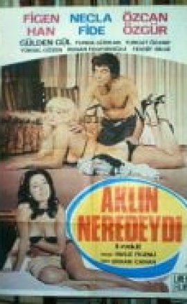 Aklın Neredeydi – Figen Han erotik film izle