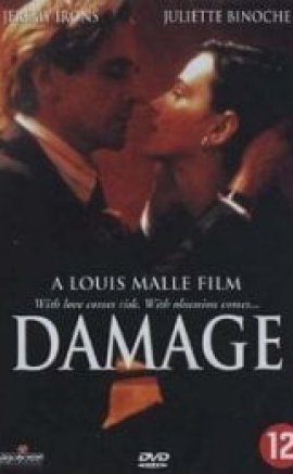 Damage (1992) Erotik Film İzle