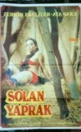 Solan Yaprak Zerrin Egeliler izle